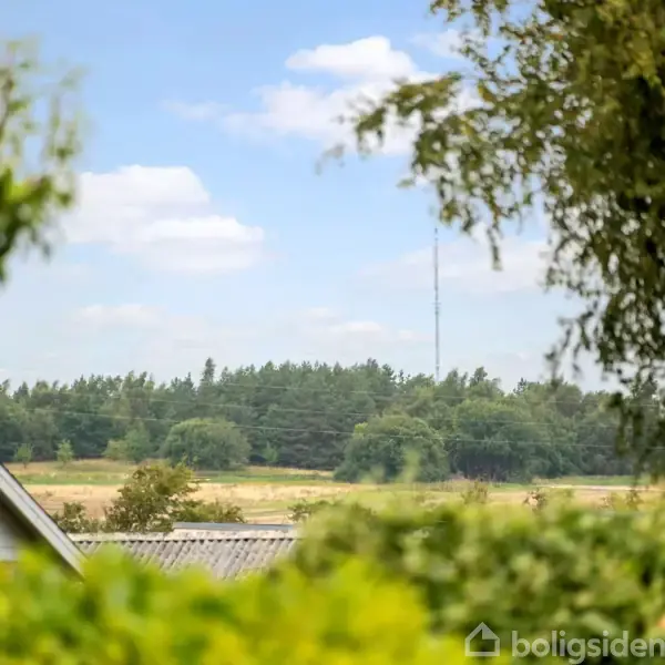 Træer omkranser udsigten over en mark og skov, hvor en mast strækker sig mod en let overskyet himmel, set fra en gårdhave med hustag i forgrunden.