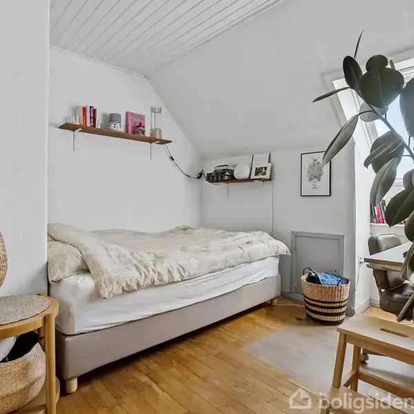 En seng dækket af et lyst sengetæppe står i et lyst rum. En reol med bøger hænger over sengen. Ved siden af er en plantestol og en stor plante i forgrunden.