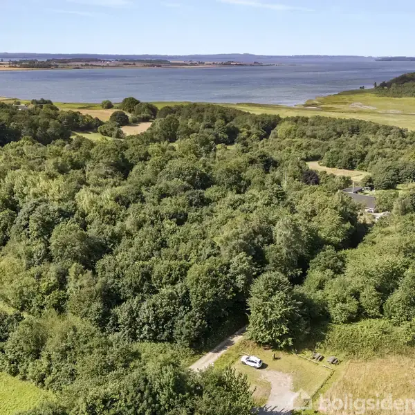 En tæt skov set fra oven breder sig over det meste af billedet, mod baggrunden ses en stor sø eller fjord, omgivet af marker og små bakker i horisonten.
