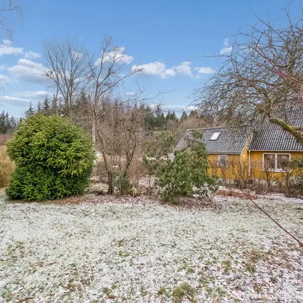 En have med let sne, omkranset af træer og buske, ved siden af et gult hus med gråt tag. Skyfri blå himmel i baggrunden.