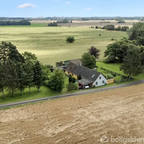 Et lille, hvidt hus omringet af træer ligger ved en grusvej midt i et fladt, grønt landskab med marker og en delvis overskyet himmel.