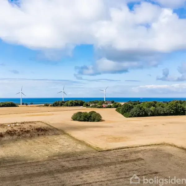 Vindmøller står stille på en stor, gylden mark nær træer og kystlinje. Over dem strækker en blå himmel sig med spredte, hvide skyer.