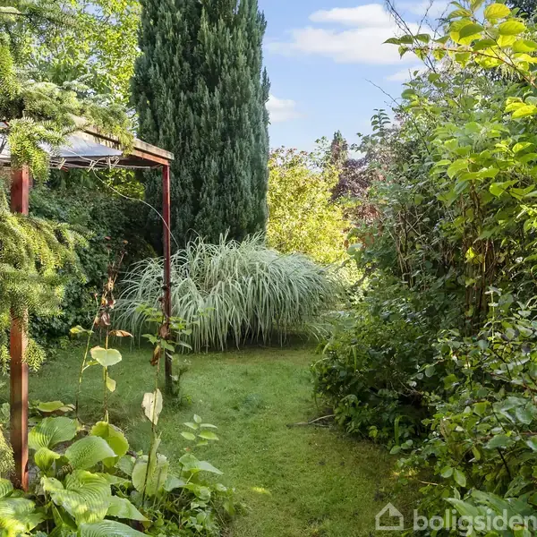En grøn have med en græssti omgivet af tætte buske og træer. En pergola står til venstre under en klar blå himmel.