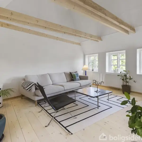 En lys stue med en stor grå sofa, placeret på et lyst trægulv med gulvtæppe. Loftsbjælker over hovedet. Flere grønne planter omkranser rummet, som har hvide vægge og vinduer.