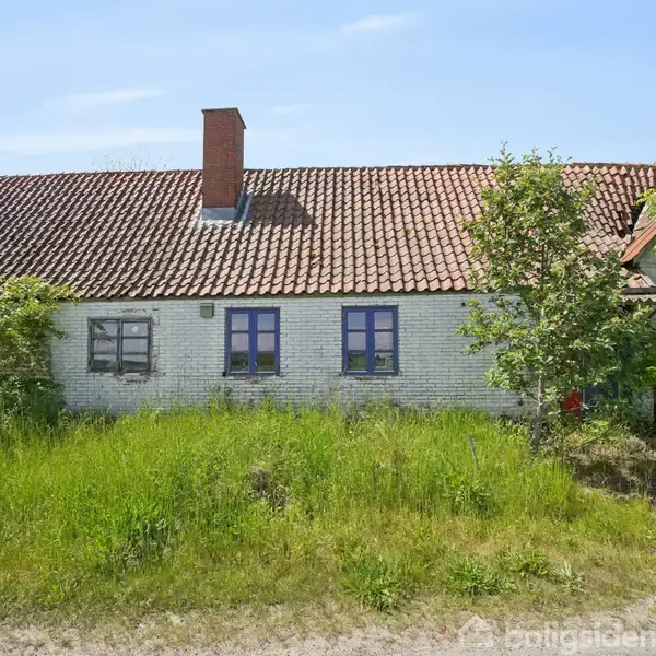 Et gammelt hus med hvidmalede vægge og rødt tegltag står på en overgroet grund. Træer og buske omgiver huset i en landlig omgivelser under en klar blå himmel.