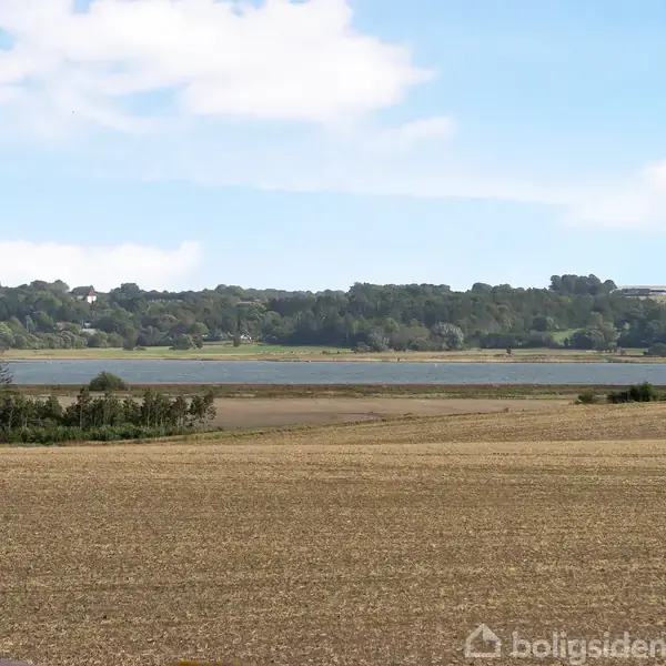 En vidstrakt mark ligger stille i forgrunden, med en rolig sø og skovklædte bakker i baggrunden under en blå himmel med spredte skyer.