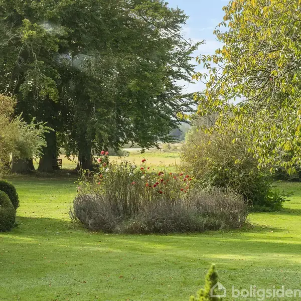 Græsplæne med buske og blomster i midten omgivet af træer. Sollys filtrerer gennem løvet, hvilket skaber en fredfyldt atmosfære.