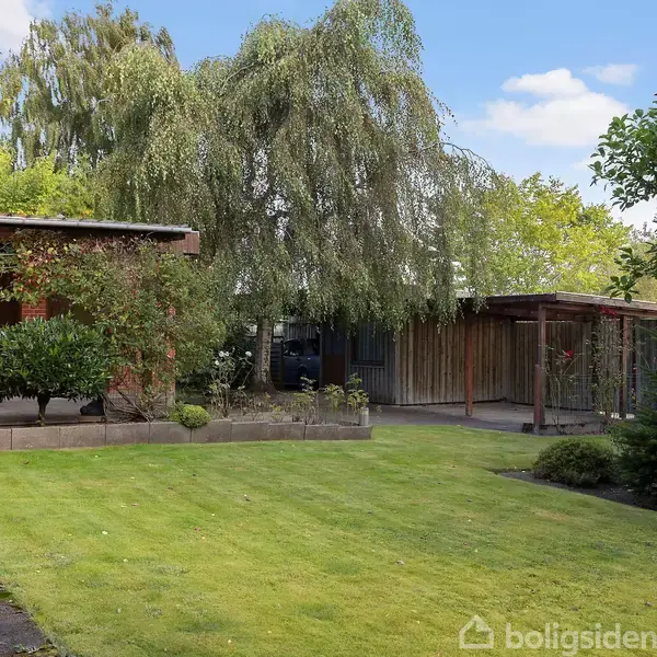 En velplejet græsplæne foran et hus med en terrasse dækket af planter. Store træer omkranser området, og en carport i træ ses til højre.