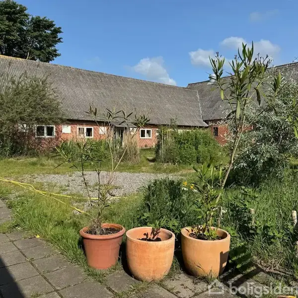 Tre terrakottakrukker med planter står ved siden af en flisebelagt terrasse. I baggrunden ses en gammel lade i mursten omgivet af grønt græs og buske under en blå himmel.
