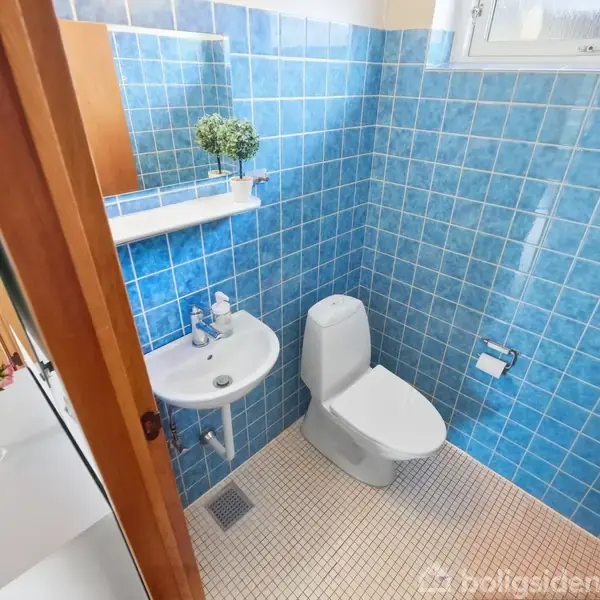 Toilet placeret ved siden af lille håndvask i badeværelse. Rummet har blå fliser på væggene og hvidt gulv. Over håndvasken er en hylde med planter.