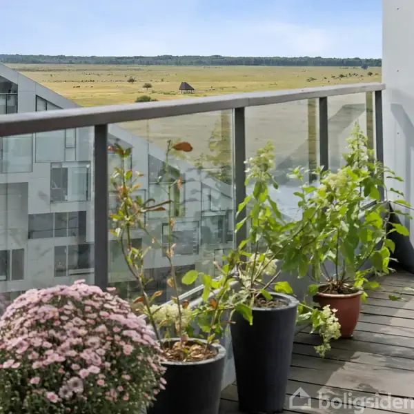 Planter i potter står på en altan med glasværn, udsigt mod moderne bygning og åbent landskab i baggrunden.