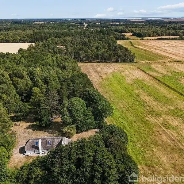 Et ensomt hus ligger omgivet af tæt skov på venstre side, mens åbne, opdyrkede marker strækker sig mod højre i landskabet.