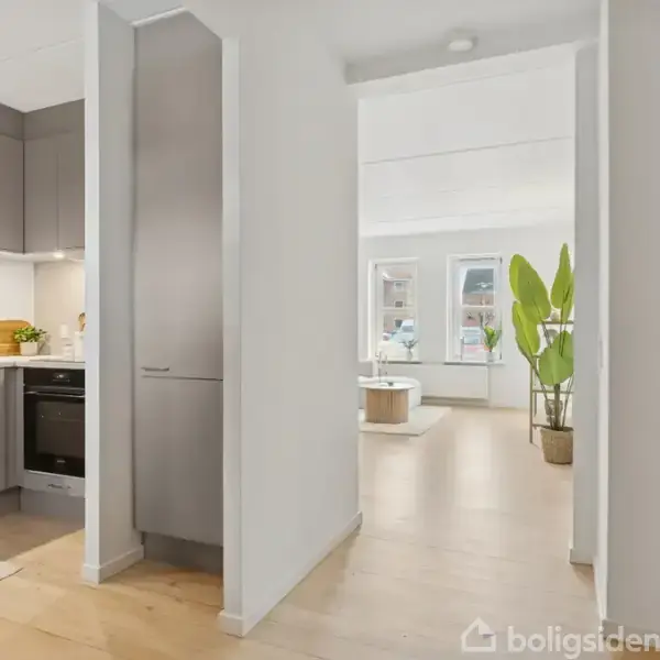 Et lyst og moderne køkken med grå skabe og ovn til venstre, åbner op mod en gang, der fører ind til en stue med store vinduer og en grøn plante.