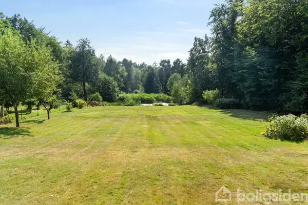 En velplejet græsplæne strækker sig mod en tæt skov, omgivet af spredte træer og buske i et solrigt landskab.