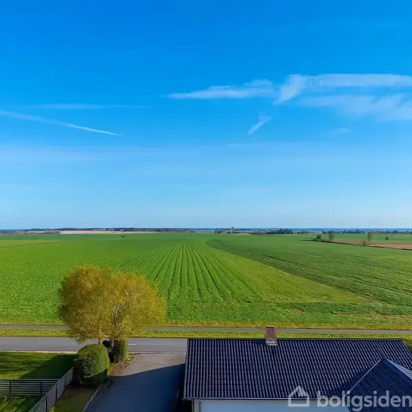Et fladt, grønt landbrugssfelt strækker sig mod horisonten under en klar blå himmel, med et hus med mørkt tag i forgrunden og en vej foran.