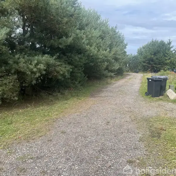 Grusvej strækker sig gennem en skovklædt område med buske og træer langs siderne. To affaldscontainere står på venstre side af vejen. Himlen er let overskyet.