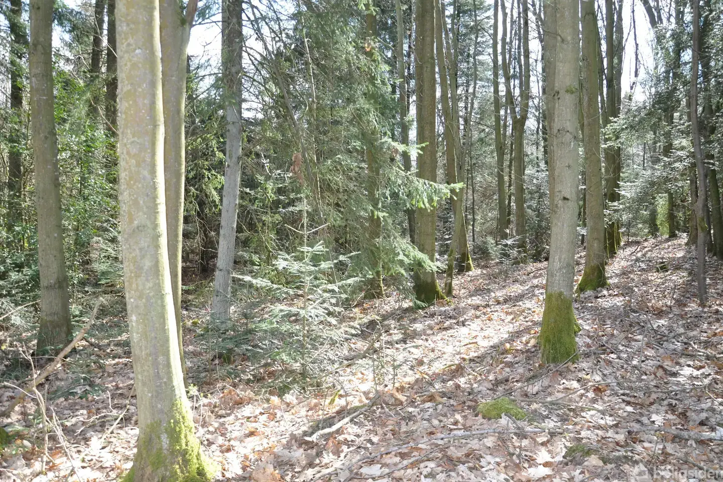 Fritidsgrund på Tyttebærvej 1, 9600 Aars