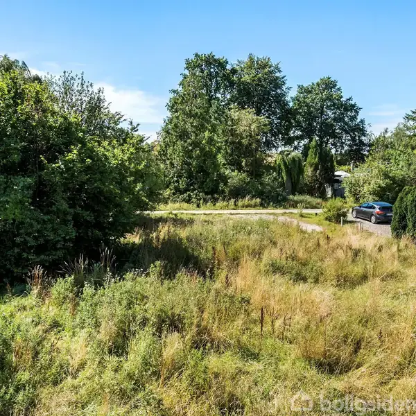 Græsbevokset grund vokser vildt, omgivet af tæt bevoksning med store træer, mens en parkeret bil står på en lille vej til højre. Skyfri blå himmel i baggrunden.