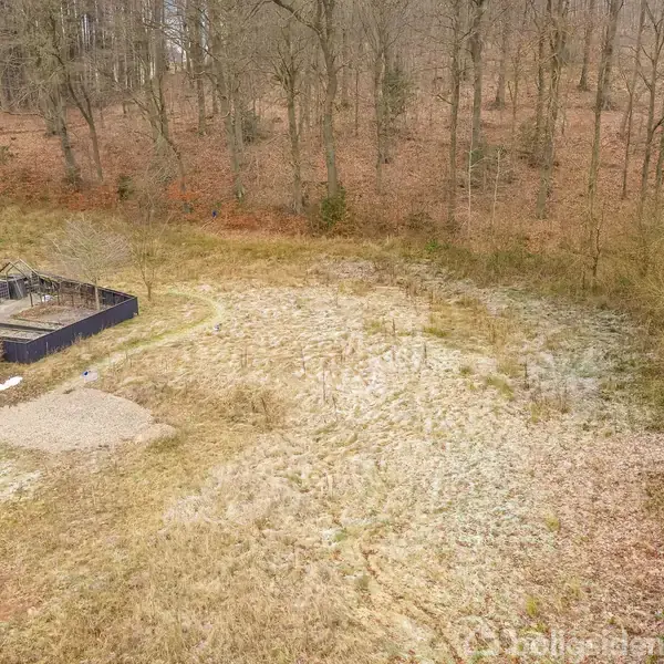 Et græsklædt område med en lille terrassebygning til venstre, omgivet af en skov med løvtræer i baggrunden, set fra oven.