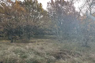 Helårsgrund på Bonaveddevejen 8, Pedersker, 3720 Aakirkeby