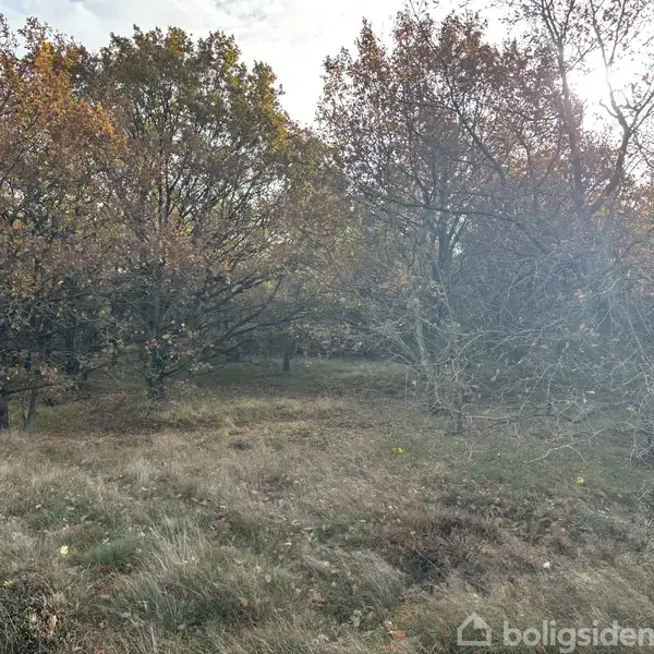 Helårsgrund på Bonaveddevejen 8, 3720 Aakirkeby