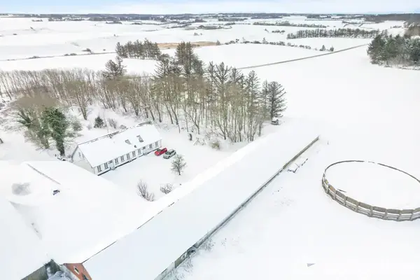 Planteavlsgård/-jord på Nørremøllevej 116, 9800 Hjørring