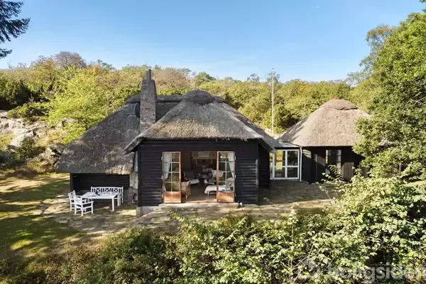 Et sort træhus med stråtag står i en skovklædt have. Huset har store vinduer, og der er udendørs siddepladser ved siden af. Solskin skaber en lys atmosfære.