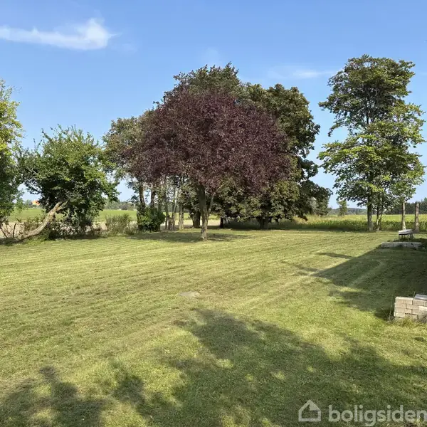 En velplejet græsplæne strækker sig foran en sort bygning til højre. Træer med tæt løv står i baggrunden under en blå himmel med få skyer.