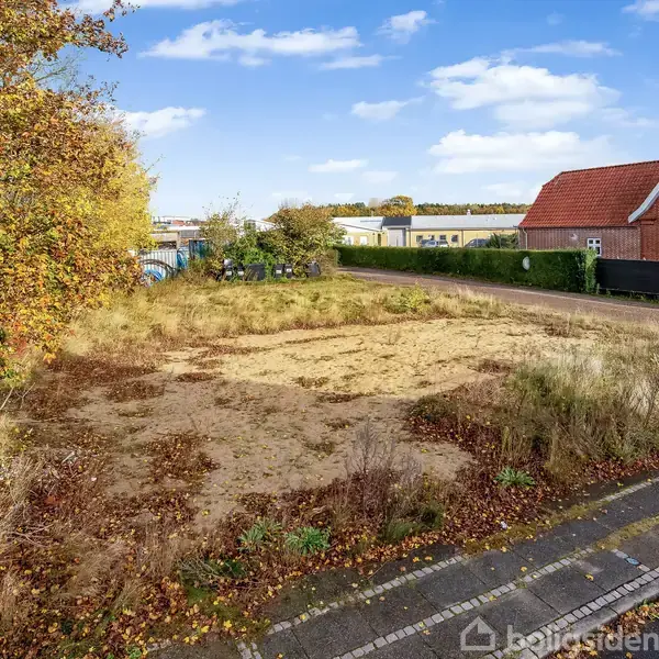 En tom grund dækket af tørt græs og mindre vegetation står ubenyttet ved siden af en bolig med rødt tag, omkranset af efterårsløv og en asfalteret vej.