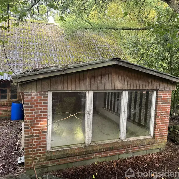 Et gammelt hus med mosdækket tag og store vinduer står forladt. Det er omgivet af skovbevoksning, og en blå tønde står ved husets side.