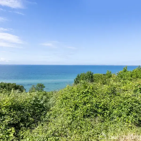 Havet strækker sig i horisonten under en klar, blå himmel. Forgrunden er fyldt med tæt, grøn vegetation, der skråner ned mod havet.