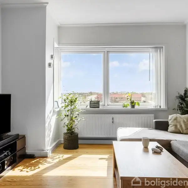 TV står på et lavt skab, mens en grå sofa omkranser et sofabord. Store vinduer bagved kaster lys ind i stuen, hvor planter står ved radiatoren.