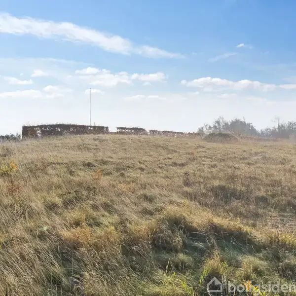 Græsmark med tørt, gyldent græs strækker sig under en blå himmel med skyer. I baggrunden ses en lav mur, og til højre ses træer ved horisonten.