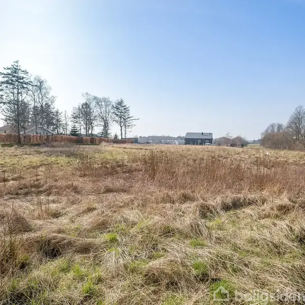 En stor, åben mark med tørt, langt græs strækker sig i forgrunden. I baggrunden ses et enkelt hus omgivet af træer under en klar blå himmel.