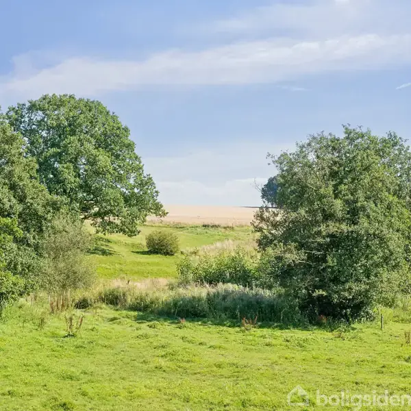 Grønne træer står stille i en frodig eng med græs, omgivet af åbne marker under en blå himmel med spredte skyer.