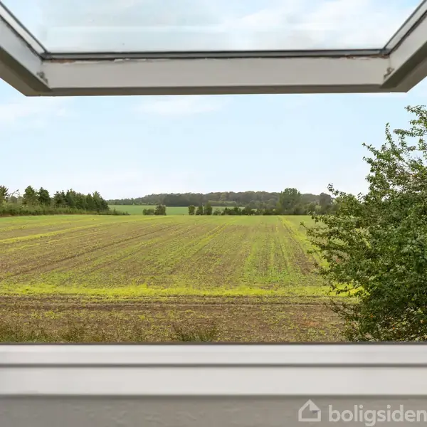 Åbent vindue viser en udsigt til en grøn mark, der strækker sig ud mod horisonten, omkranset af træer under en klar blå himmel.