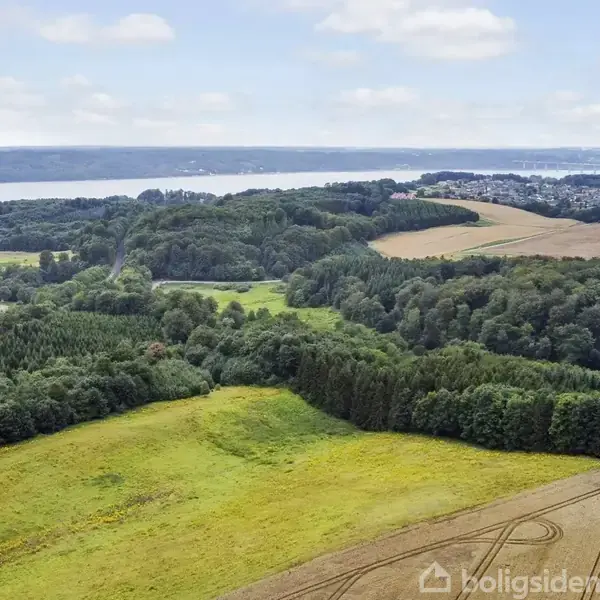 En grøn skov med tætte træer strækker sig over bakkede landskaber. I baggrunden er der udsigt over en fjord og en by. Ingen tekst er til stede.