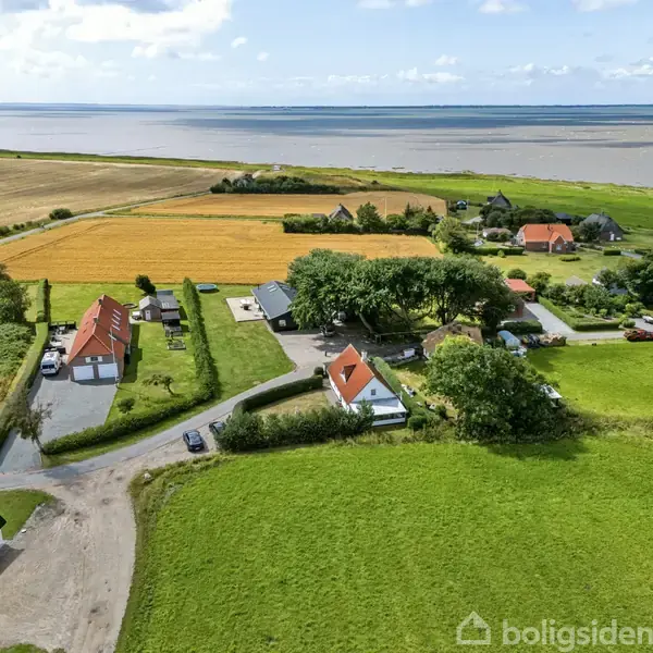 Flere huse med røde tage står blandt grønne marker og træer. Bagved ses et stort blåt vandområde. Personbiler er parkeret langs vejene. Ingen tekst i billedet.
