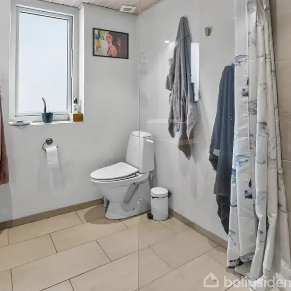 Et badeværelse med toilet, håndvask, og bruser. Håndklæder hænger på væggen, og vindueskarm har en dekorativ plante. Bruseafskærmning ses til højre, og toiletrulleholder er ved siden af toilettet.
