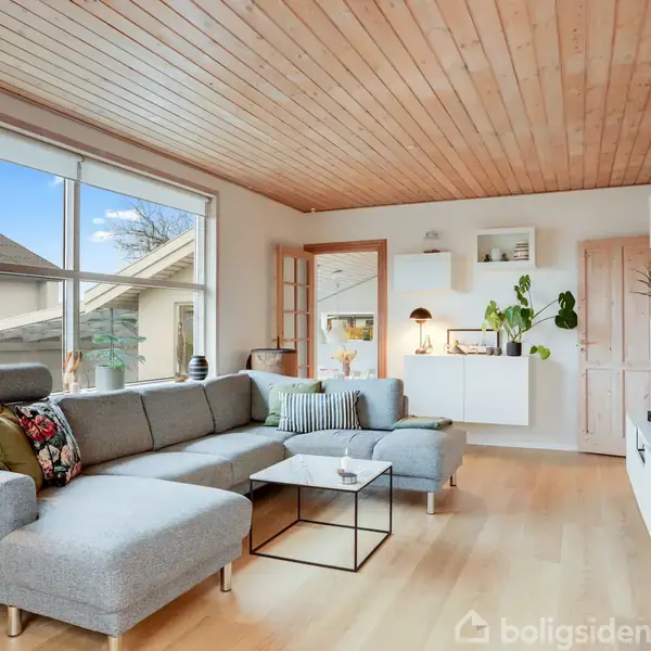 Grå hjørnesofa med farverige puder står i stue med lyst trægulv og træloft. Store vinduer til venstre giver naturlys, mens hylder og planter dekorerer rummet. Hyggelig og moderne atmosfære.
