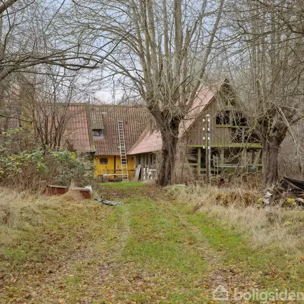 En gammel, forfalden bygning står omgivet af høje, nøgne træer og vildtvoksende græs. En stige læner sig mod facaden, mens en smal sti fører gennem den tætte vegetation.