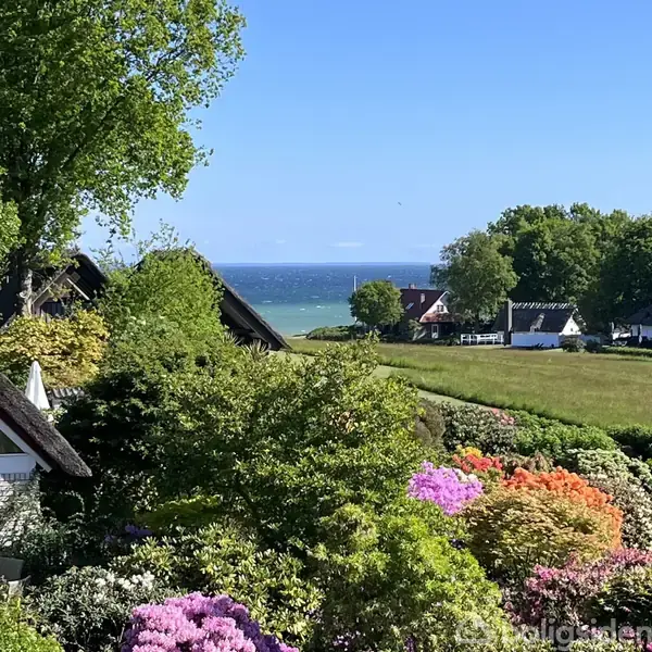 Huse med stråtage står stille i en frodig have med farverige blomster, mens havet strækker sig i horisonten under en klar blå himmel.