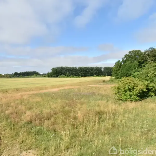 En stor åben mark strækker sig under en blå himmel med spredte skyer. Til højre ses en række træer og buske, der skaber en naturlig grænse.