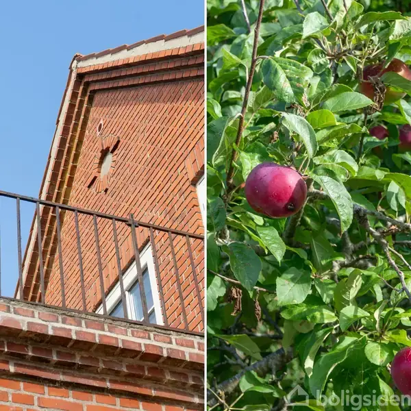 En murstensbygning med en balkon og et stjernevindue står til venstre, mens et æbletræ med røde æbler vokser i en grøn have til højre.