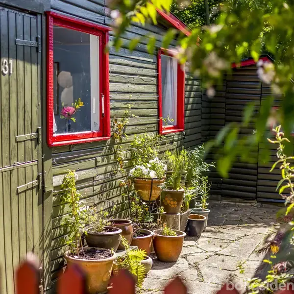 En træbygning med nummeret "31" har røde vinduesrammer. Foran står flere blomsterkrukker i en solrig gårdhave omgivet af en rød træhegn og grønne buske.