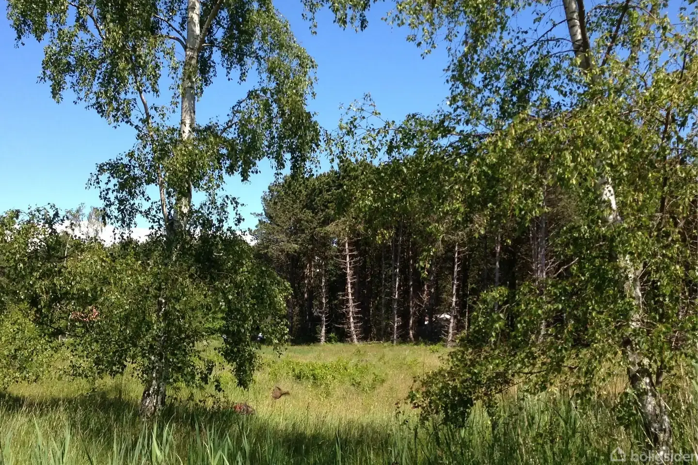 Fritidsgrund på Sivsangervej 25, 4970 Rødby