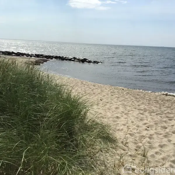 En sandstrand med grønne klitter i forgrunden. Havet i baggrunden har små bølger, og en stenvold strækker sig ud i vandet. Det er en solrig dag.