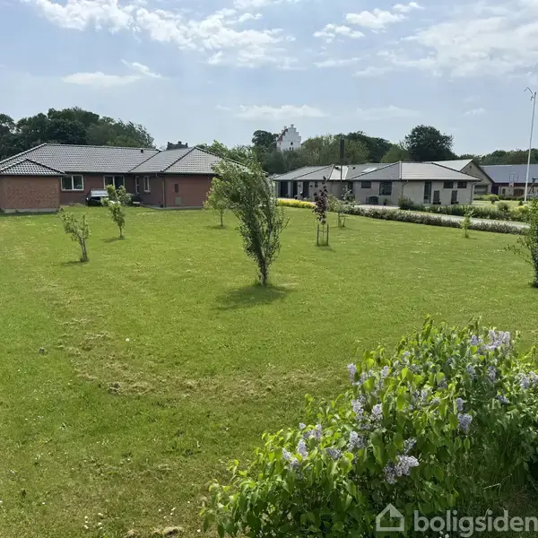 Græsplæne med unge træer, stille i morgensolen, omgivet af moderne enfamiliehuse i en grøn, landlig beliggenhed.