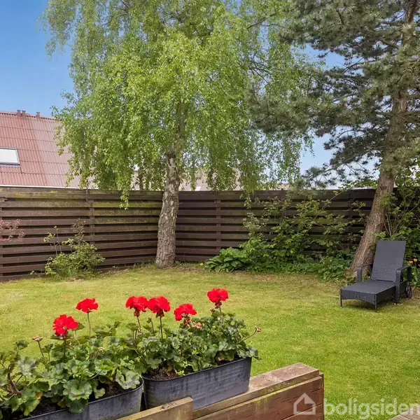 En grøn have med røde blomster i forgrunden, en liggestol til højre, omgivet af træer og afgrænset af et brunt plankeværk. En bygning anes til venstre.