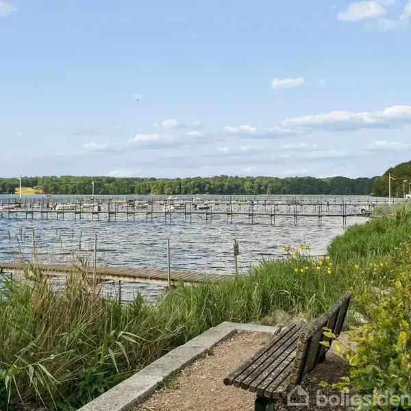 En bænk står ved vandet med udsigt til en lang træbrygge. Omkring er der frodig vegetation og en klar blå himmel.